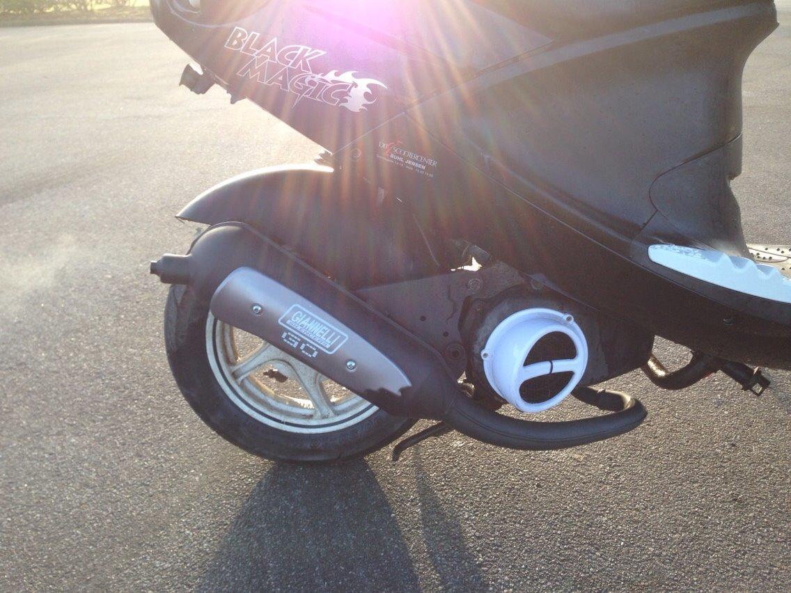 PGO Black Magic - Gertrud (solgt) billede 5