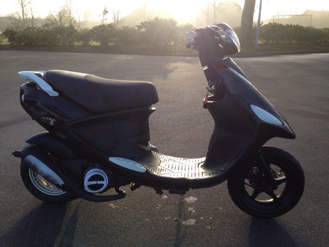 PGO Black Magic - Gertrud (solgt) billede 7