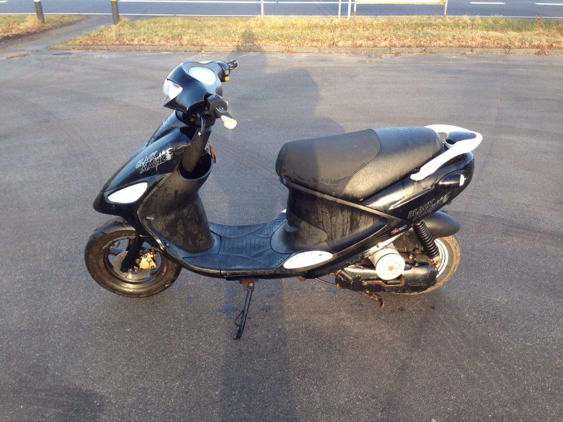 PGO Black Magic - Gertrud (solgt) billede 8