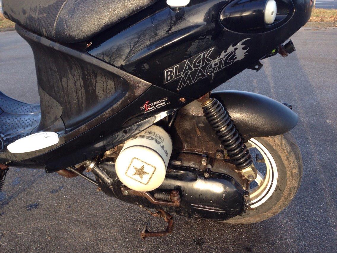 PGO Black Magic - Gertrud (solgt) billede 9