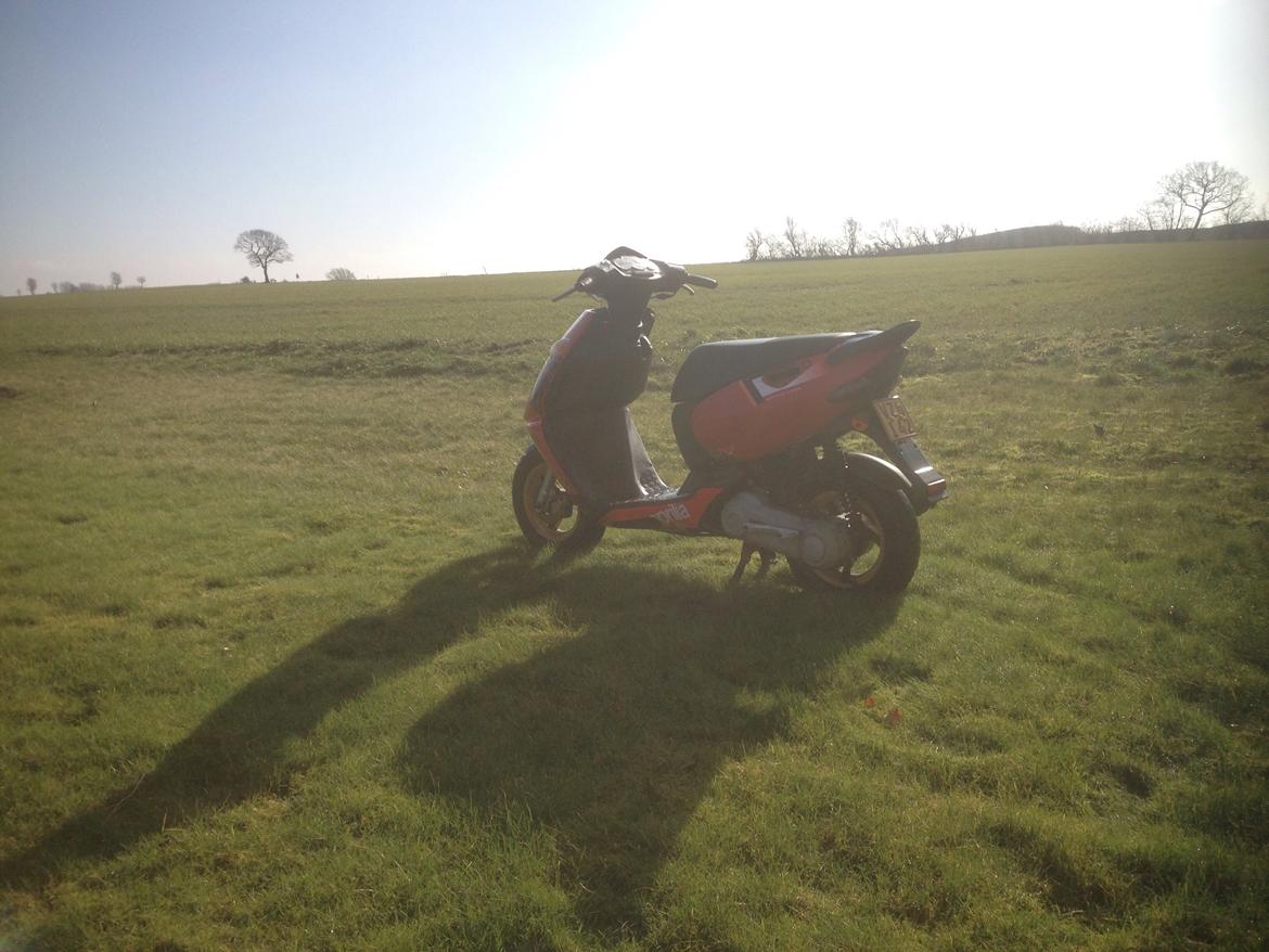 Aprilia Sonic Grand Prix (tidligere scooter) billede 6