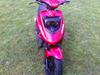PGO Hot 50 [Tidl. scooter]