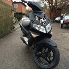 Peugeot Speedfight 2 Mattsort