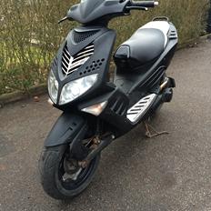 Peugeot Speedfight 2 Mattsort