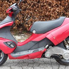 Benelli 491 Racing LC // DD