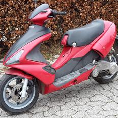 Benelli 491 Racing LC // DD