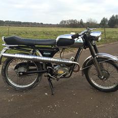 Everton TT 50