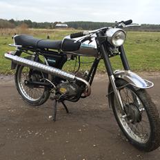 Everton TT 50