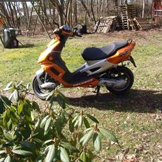 Peugeot speedfight 2