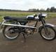 Everton TT 50