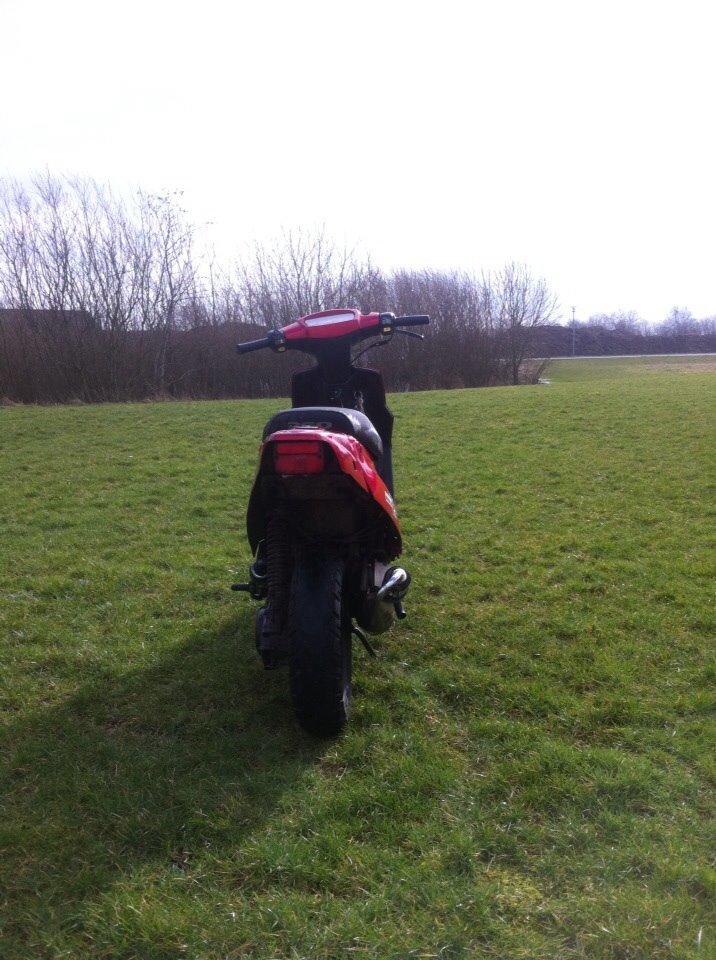 PGO Hot 50 billede 3