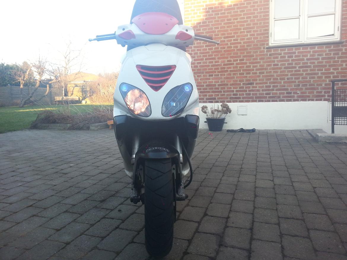 Piaggio "Danmark" NRG Power DT  billede 1