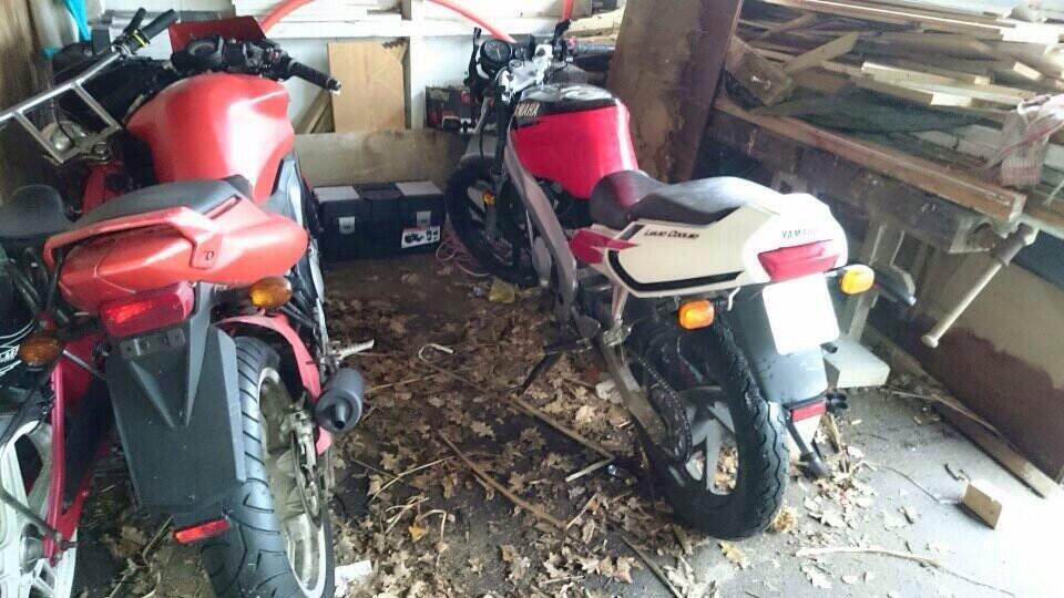 Yamaha Tzr 50 billede 4