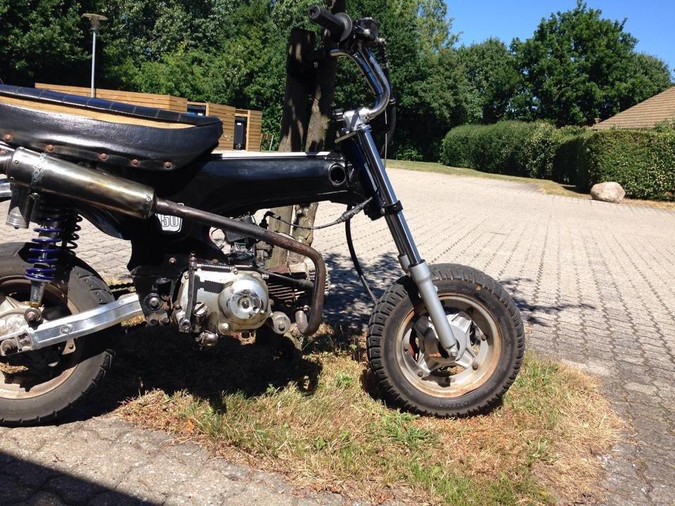 Skyteam dax  billede 8