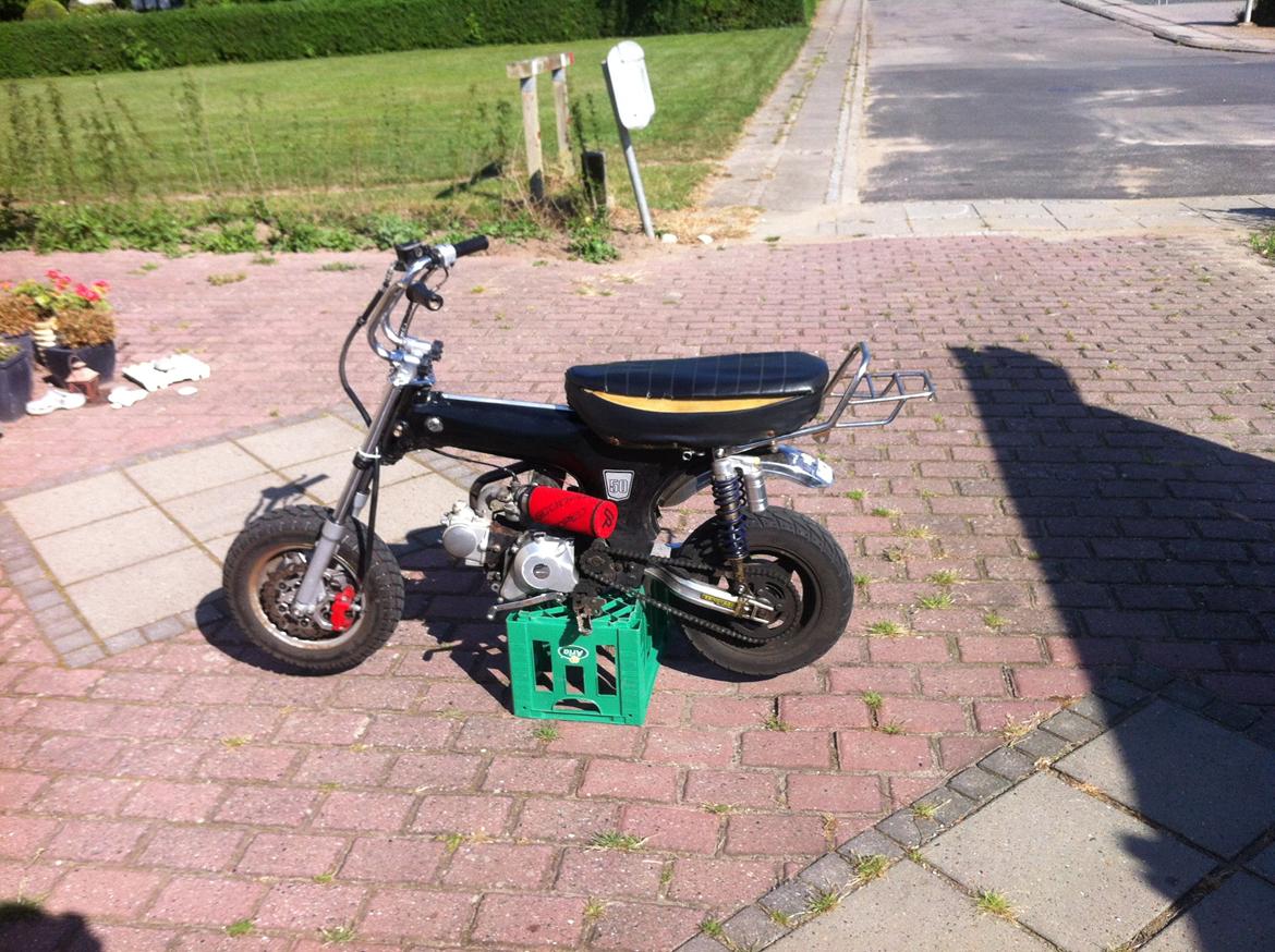 Skyteam dax  billede 12