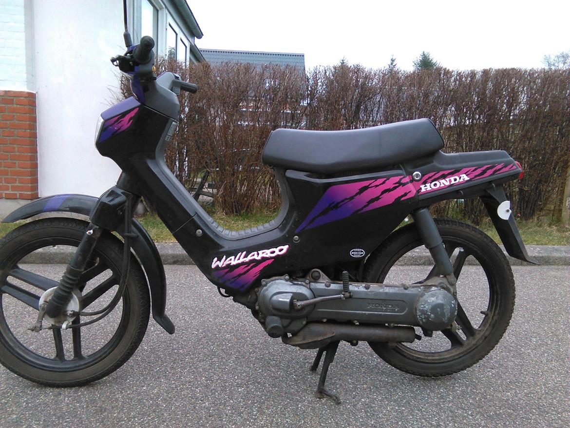 Honda Wallaroo billede 2