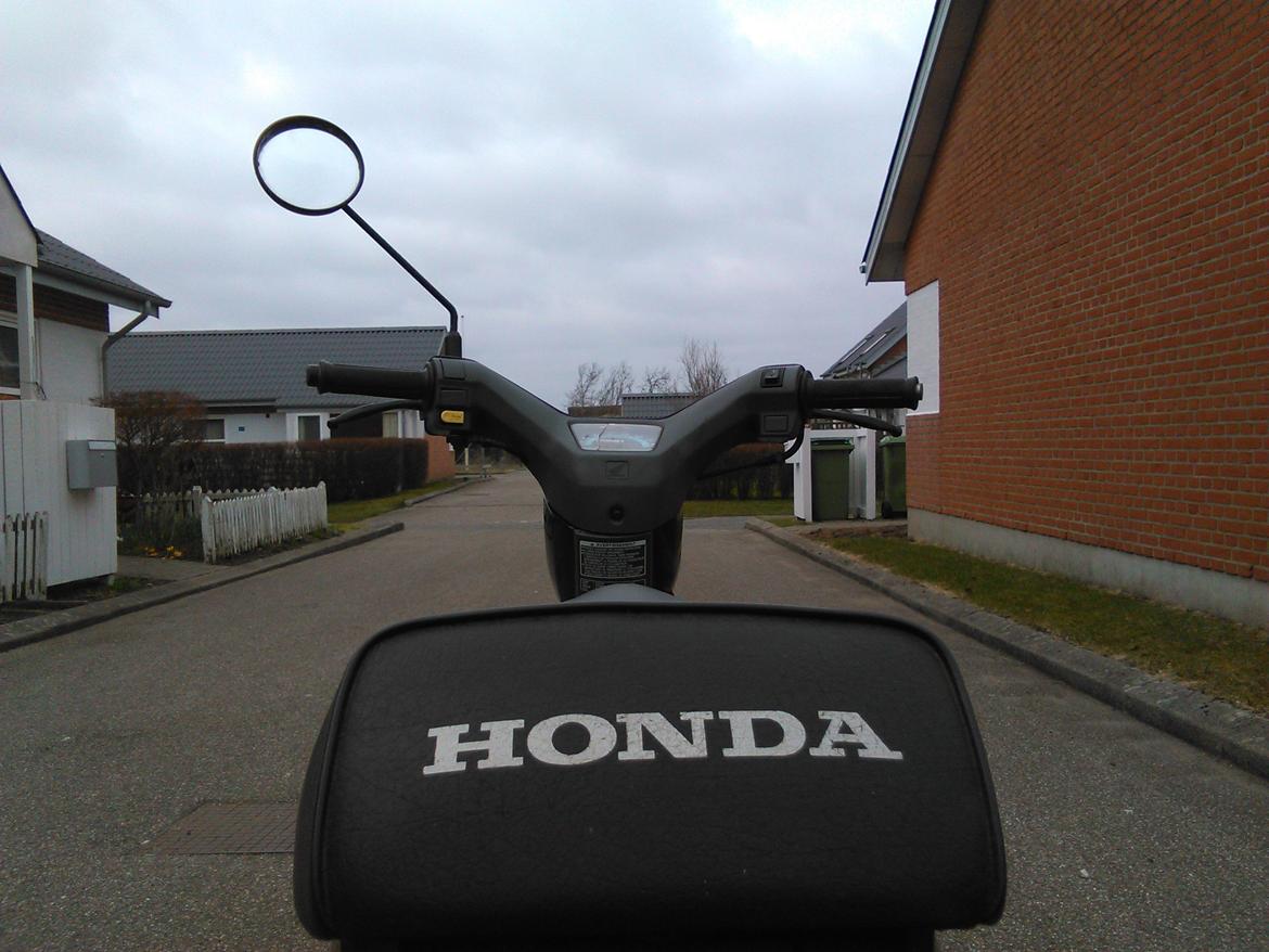 Honda Wallaroo billede 5