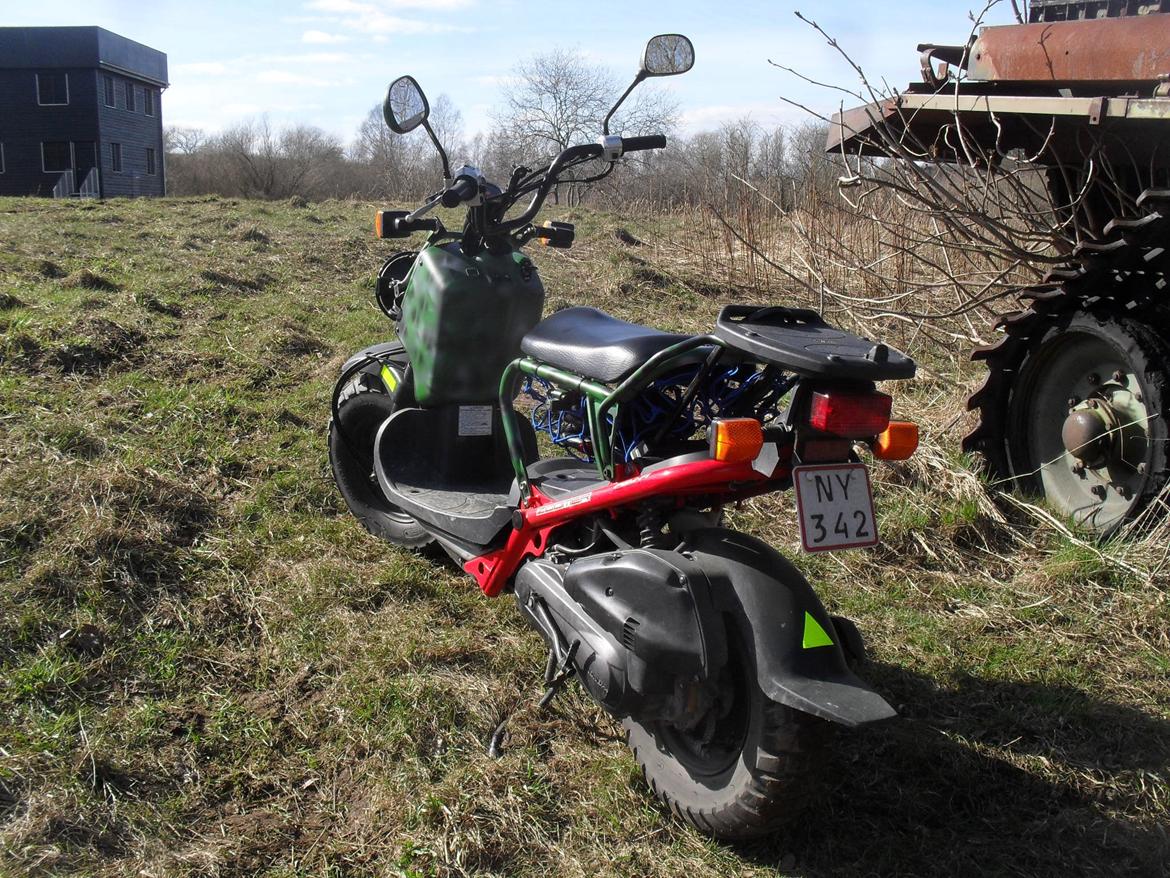 Honda Zoomer / Ruckus billede 8