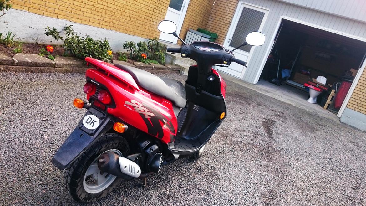 Honda sfx "skønheden" billede 4