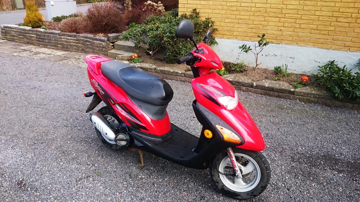 Honda sfx "skønheden" billede 1