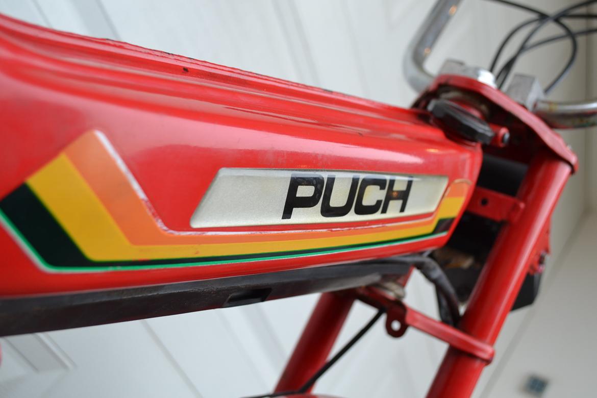 Puch Maxi k billede 8