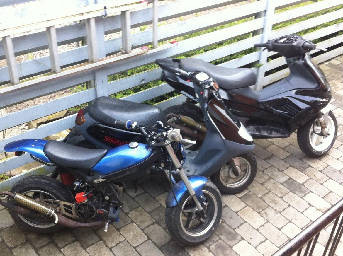 Suzuki street magic  billede 12