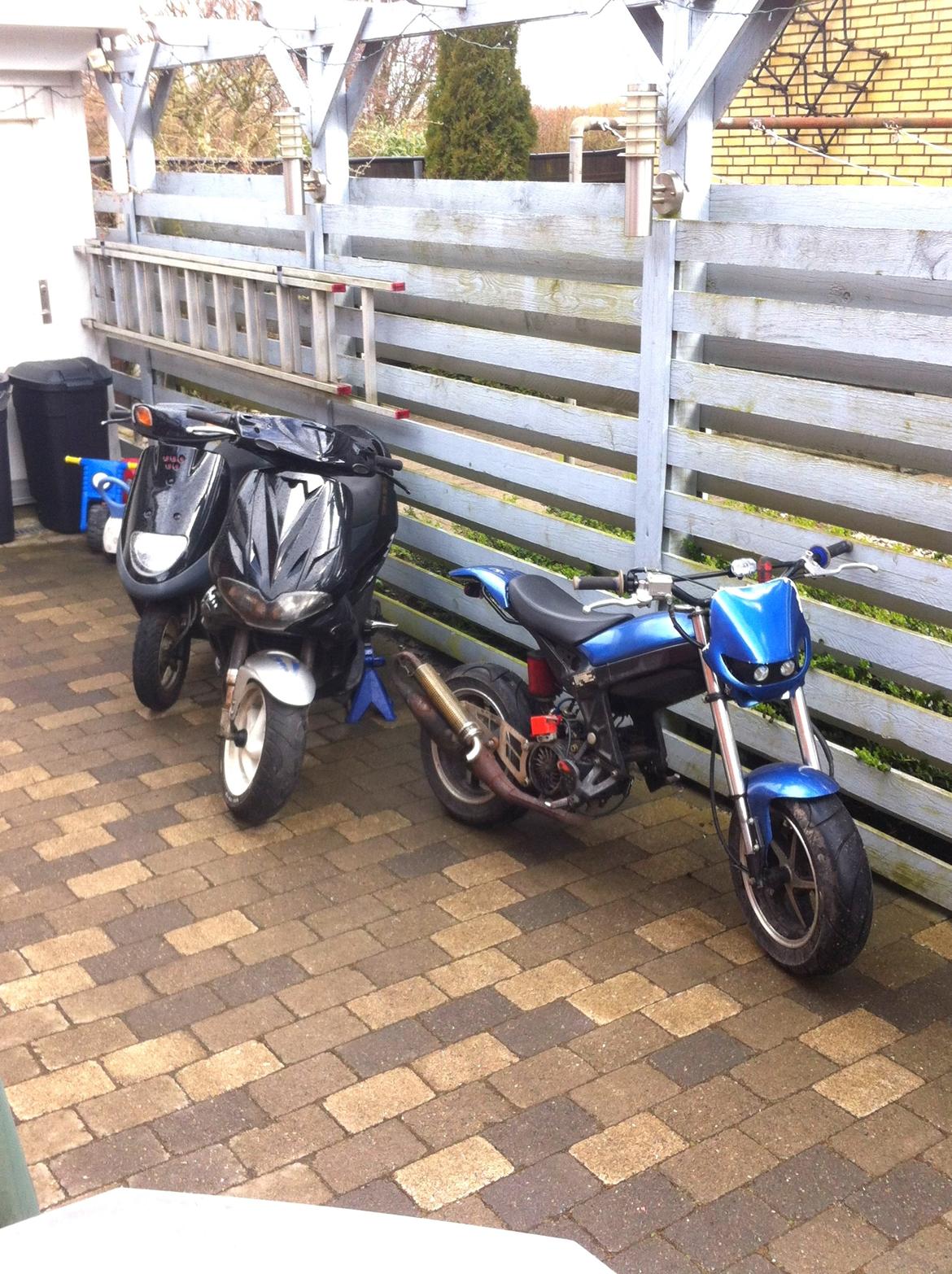 Suzuki street magic  billede 10