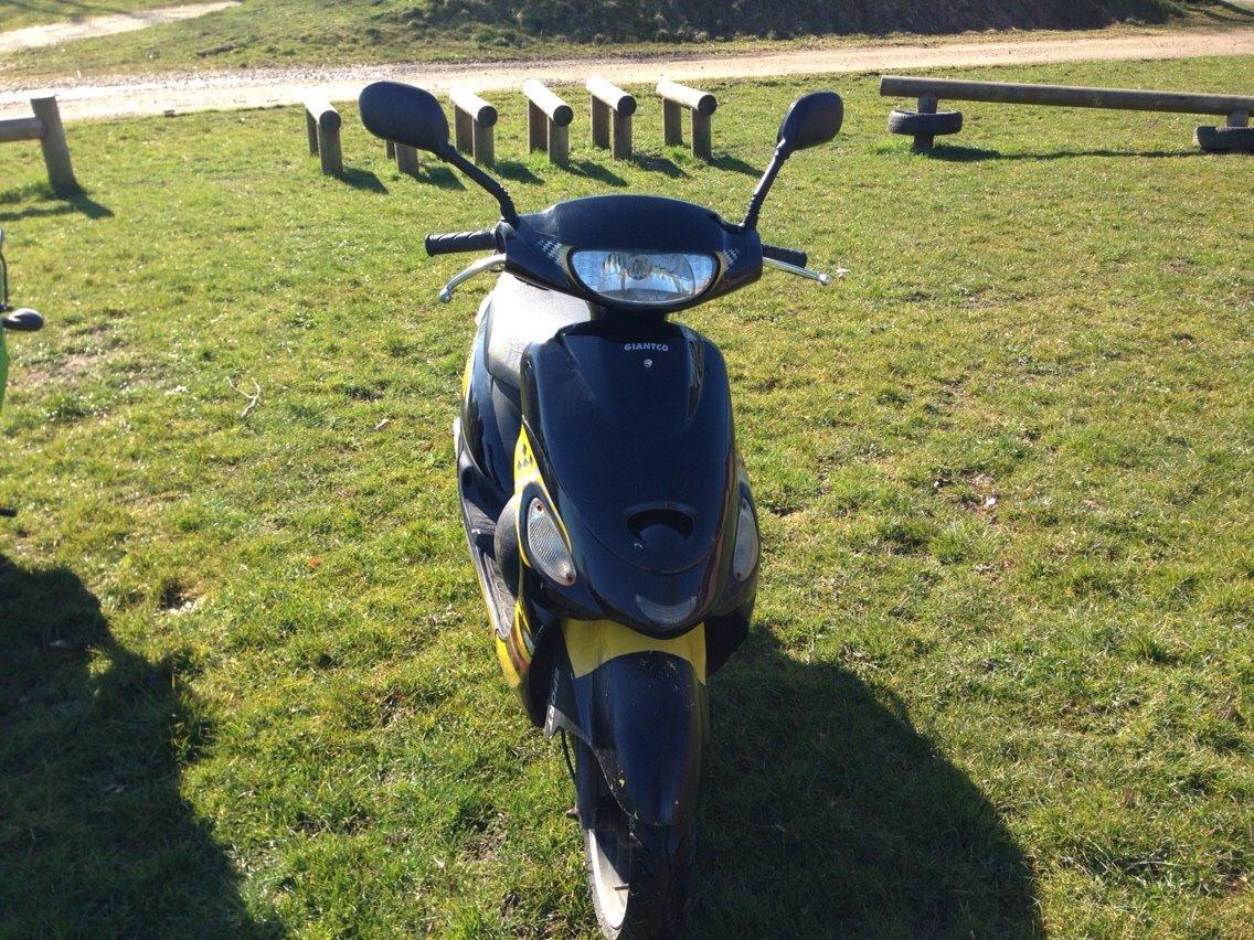 Giantco Sprint Sport (solgt) billede 2