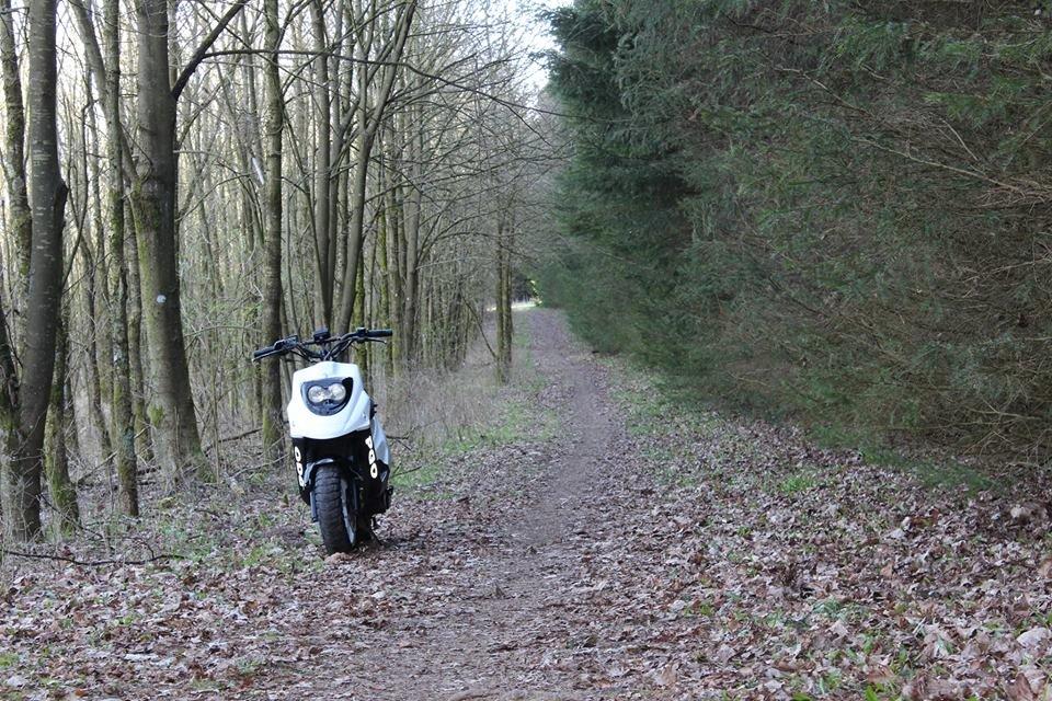 PGO hot 50 naked  billede 12