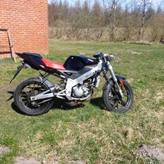 Derbi Gpr 50 // SOLGT