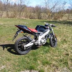 Derbi Gpr 50 // SOLGT