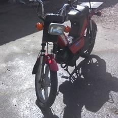 Gizmo Majestic Auto Limited (Hero gizmo)