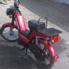 Gizmo Majestic Auto Limited (Hero gizmo)