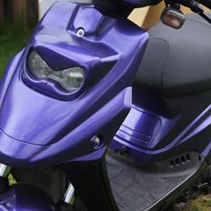 PGO Big Max 45