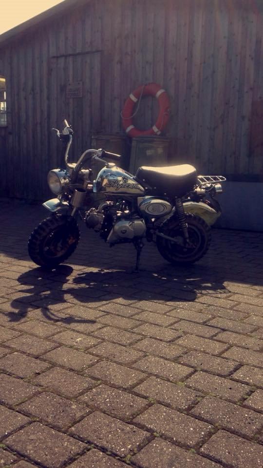 Skyteam Monkey billede 16