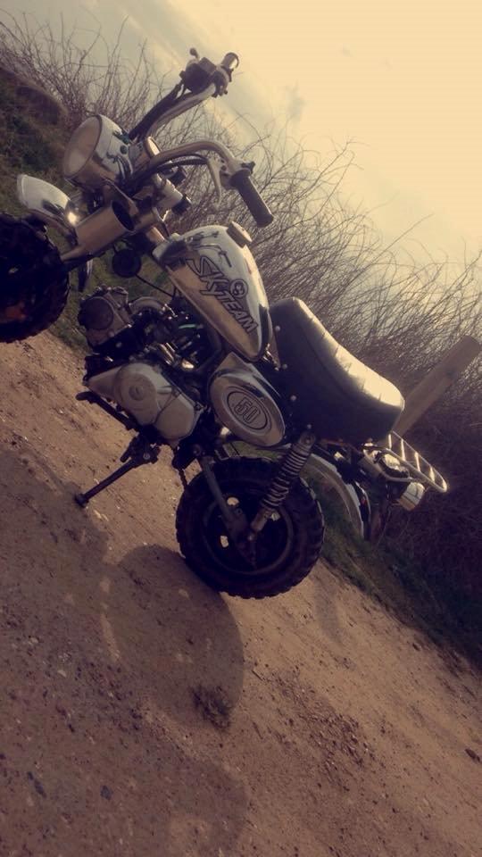 Skyteam Monkey billede 11