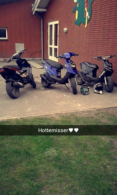 PGO Hot 50 billede 10