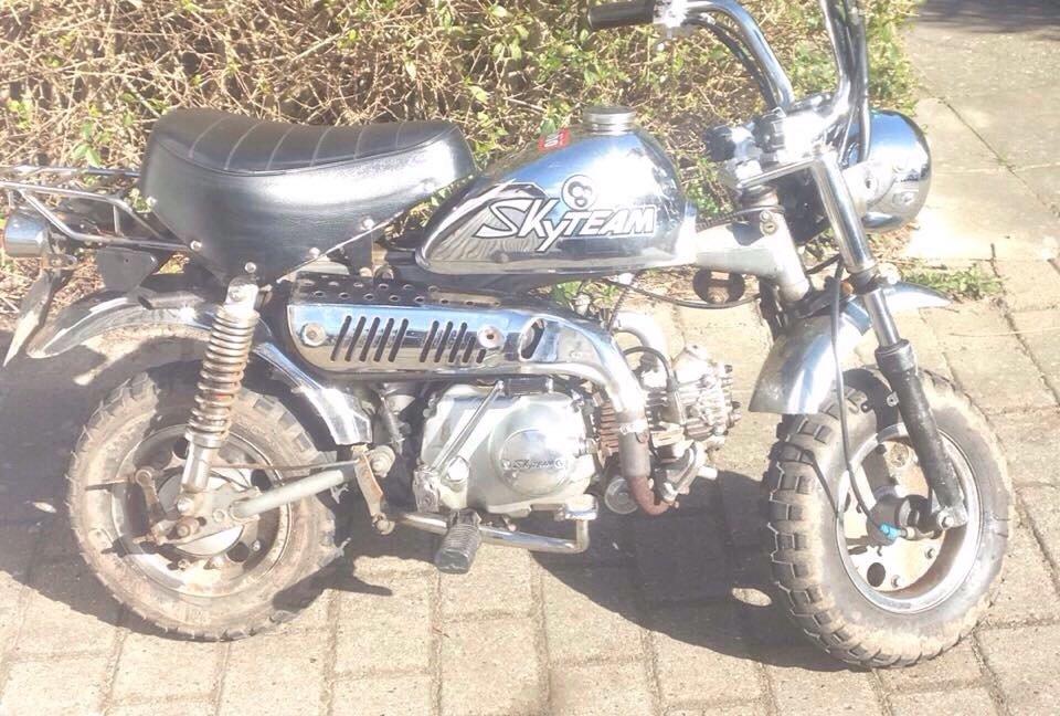 Skyteam Monkey billede 10