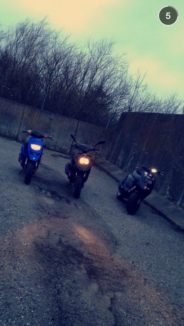 Piaggio Typhoon billede 8