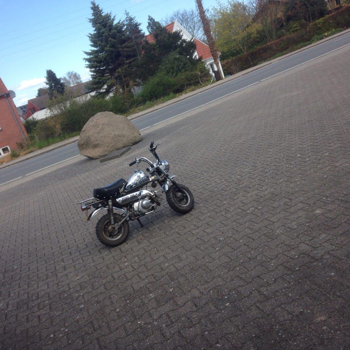 Skyteam Monkey billede 14