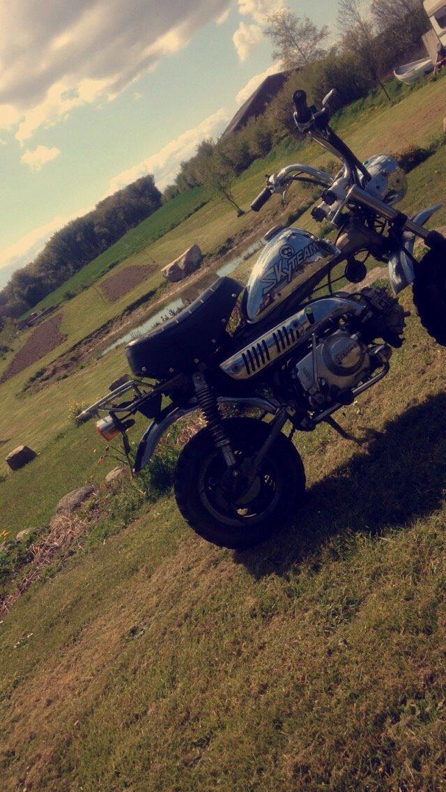 Skyteam Monkey billede 17