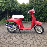 Honda Melody mini NT50