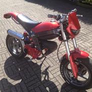 Suzuki Street Magic (The red diamond)