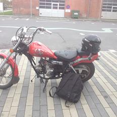 Regal Raptor (Isabella)