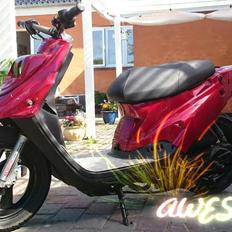 PGO LOW HOT'N SLOW    # SOLGT #