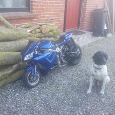 Gilera runner/poketbike