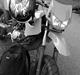 Derbi Senda Sm 50