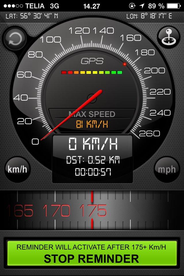 Regal Raptor (Isabella) billede 16