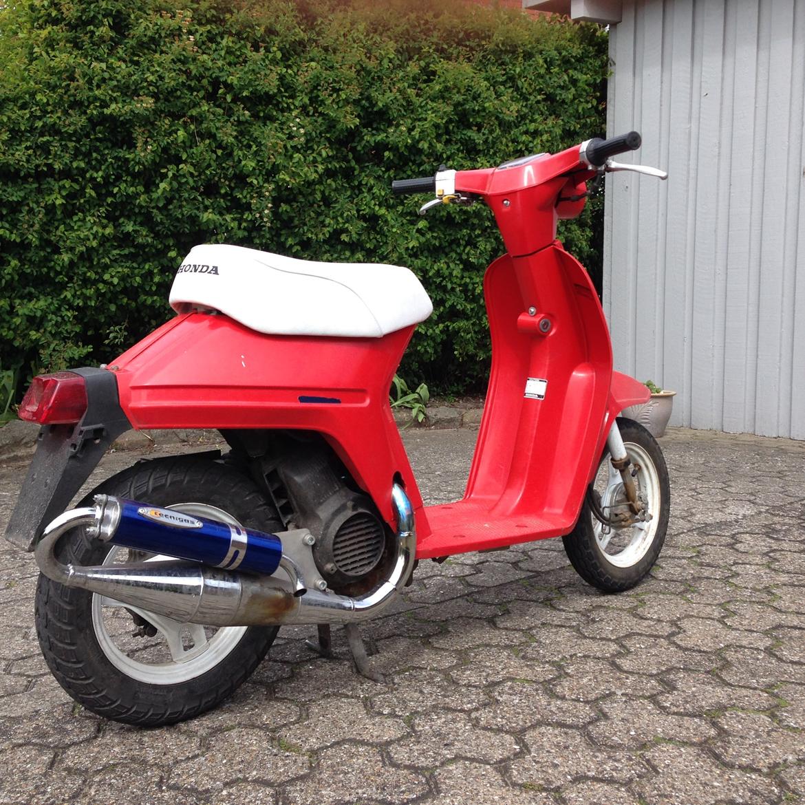 Honda Melody mini NT50 billede 2
