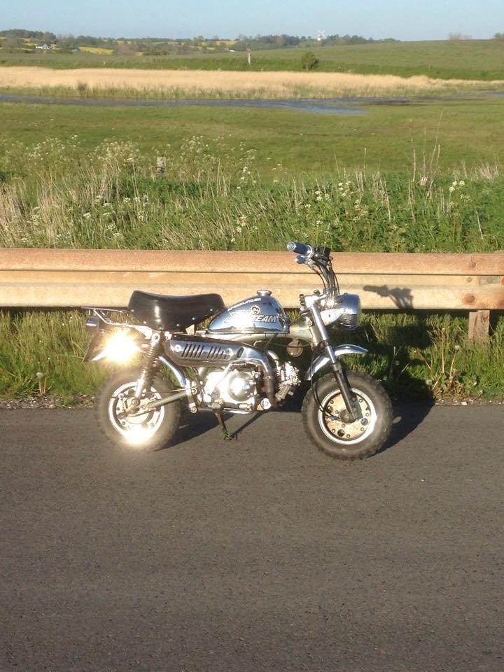 Skyteam Monkey billede 1